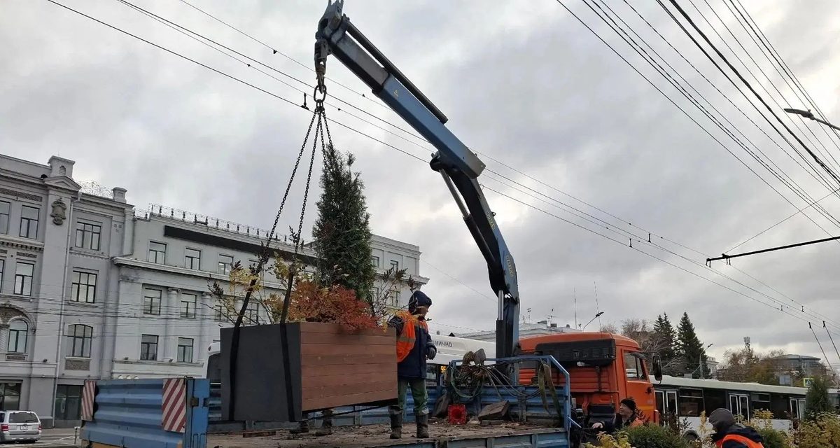 С улицы Гагарина в Омске увозят 40 кашпо с многолетними растениями на зимовку