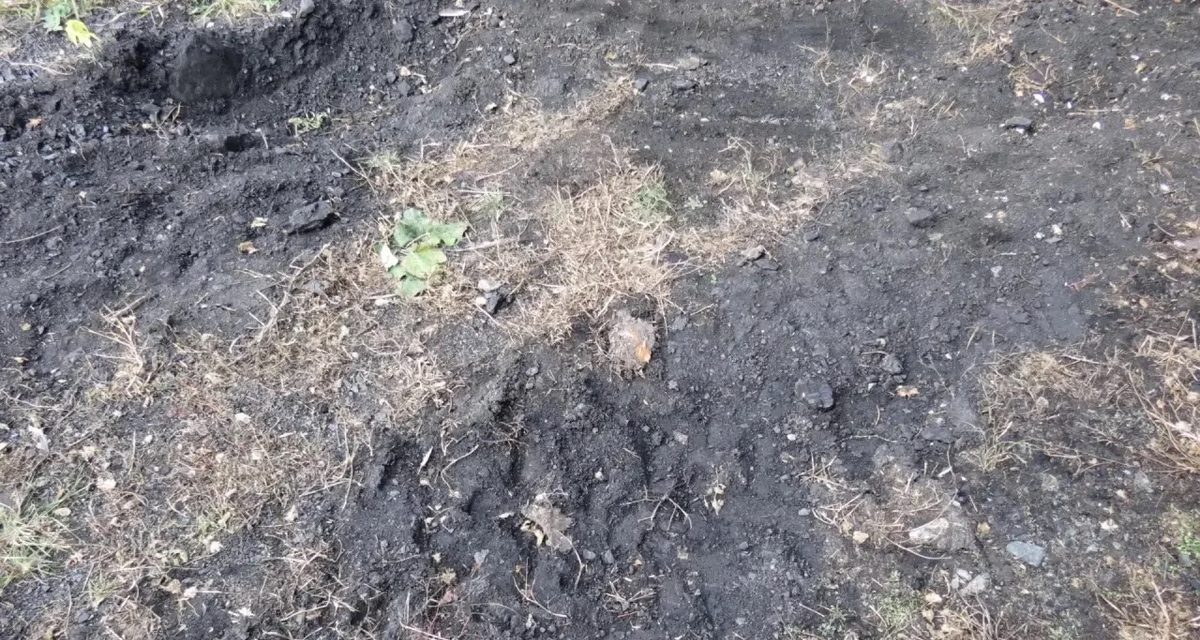 Житель Благовещенки по вечерам приезжал на тракторе за углём для дома и попался
