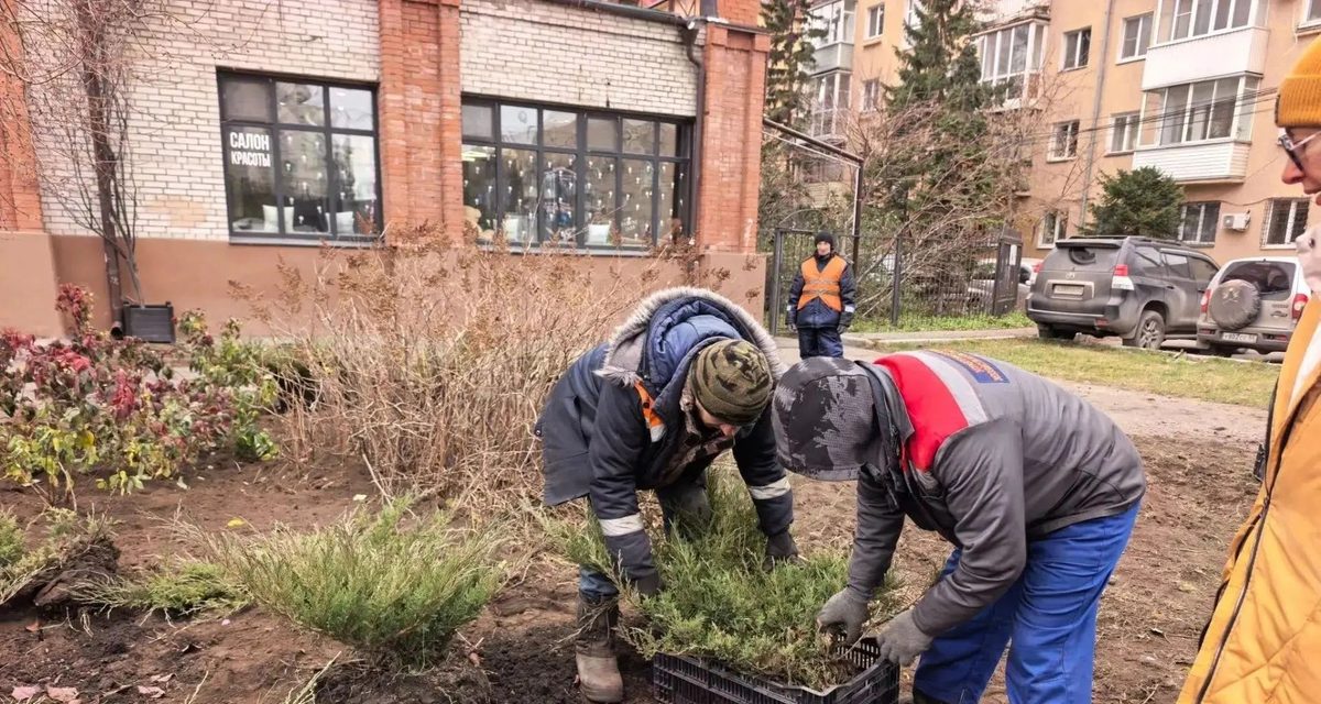 В Омске появилась зелёная зона «Бусины» с более чем 600 кустарниками и десятками деревьев