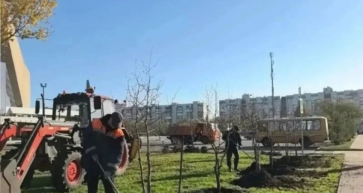 В Омске на улицах всех округов высаживают черёмуху, яблони и 400 кустов пузыреплодника