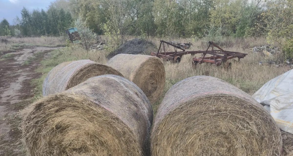 Житель Полтавского района за две недели вывез 17 тюков сена для шести маралов
